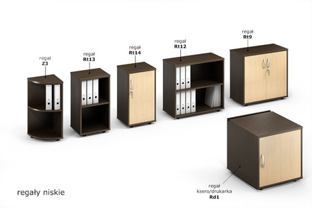Szafka pod drukarkę lub xero Rd1 -  szer 600 gł 620 wys 600 mm, Dąb kamienny